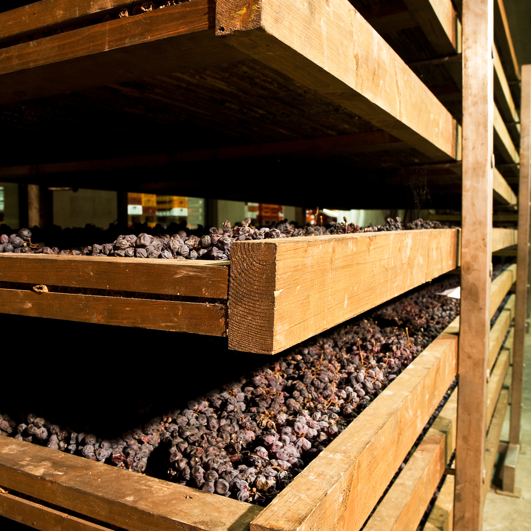 Valpolicella: Classico, Ripasso, Amarone en Recioto?