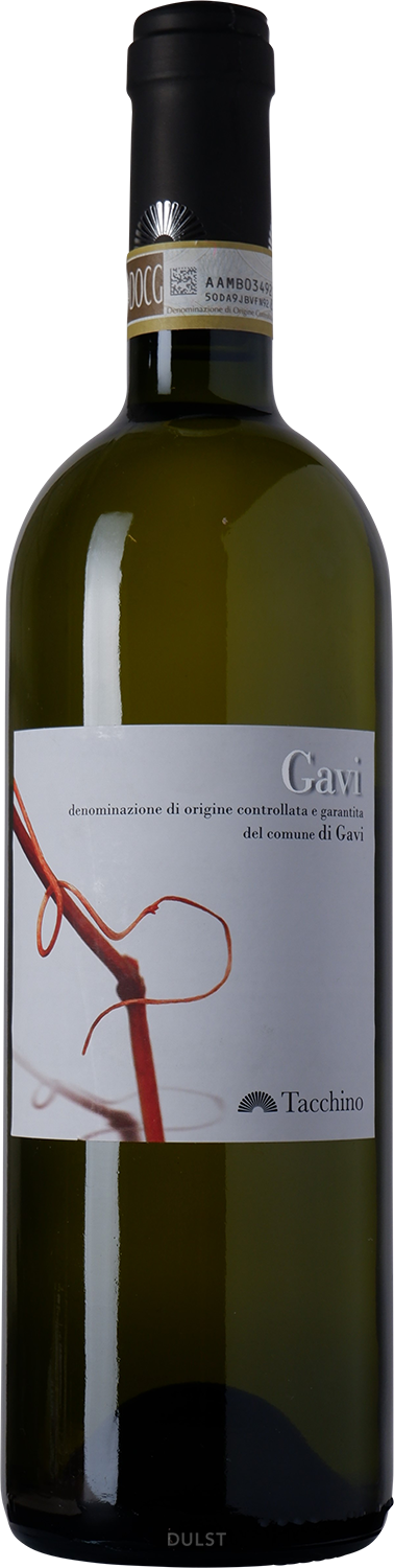 Tacchino | Gavi di Gavi DOCG